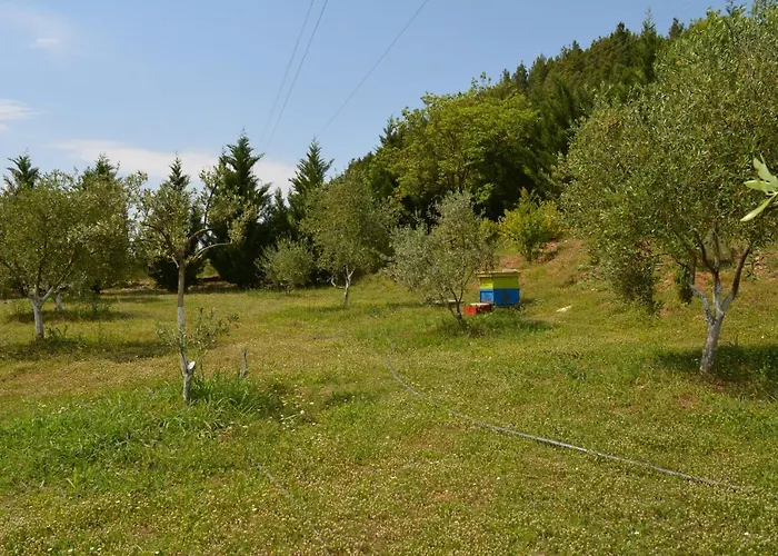 Ξενοδοχείο Aroma