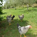 Aroma Отель